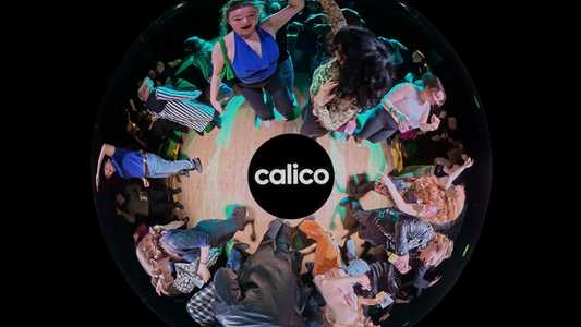 Abstract 360 image taken from above of young people dancing with Calico logo